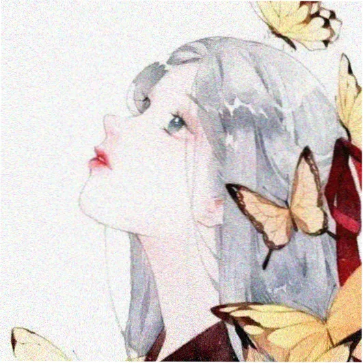 访客苏迟的头像
